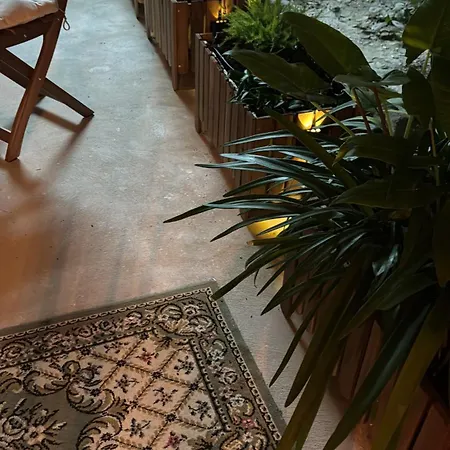 Apartment Luxury Praia de Mira