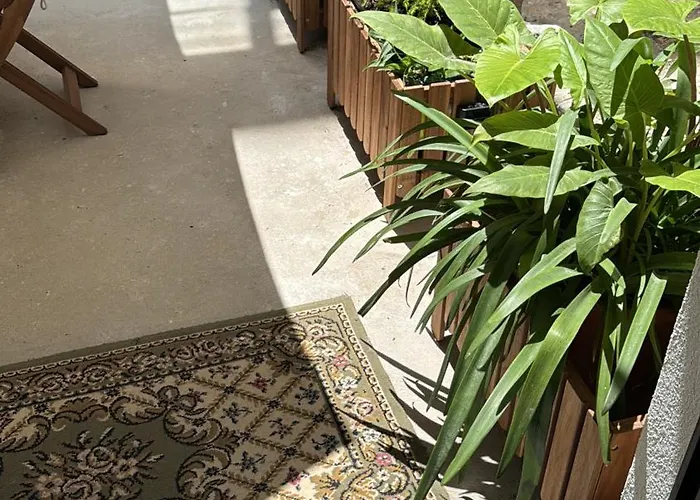 Luxury Praia de Mira